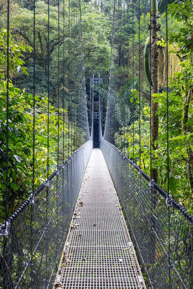 Mistico Hanging Bridges