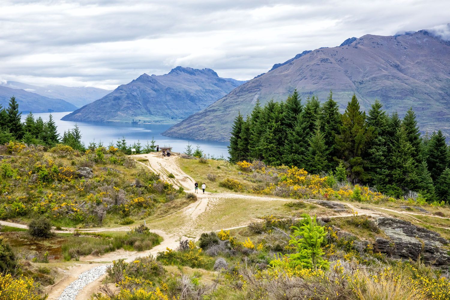 Queenstown Hill Hike