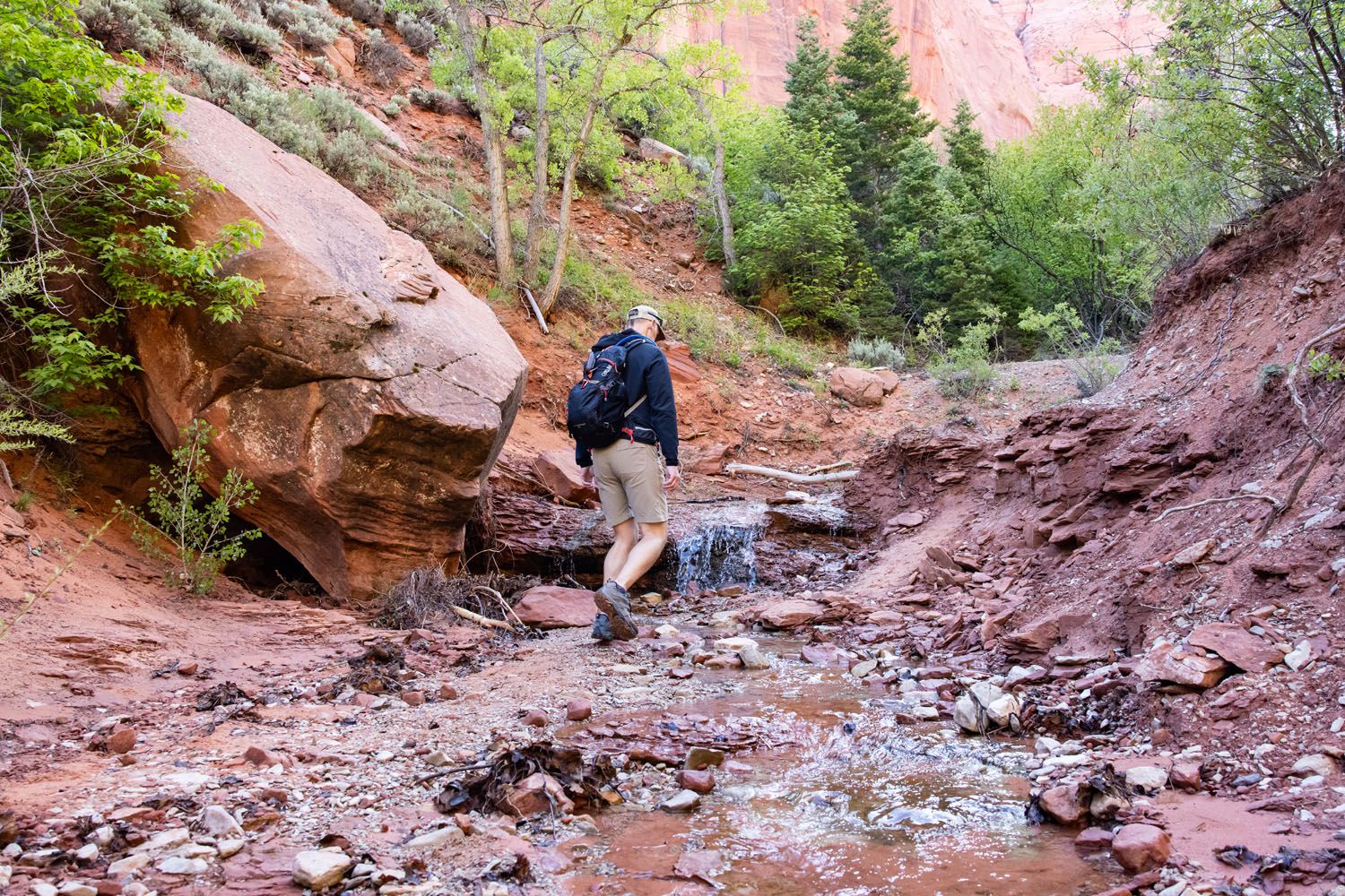 Taylor Creek Crossing Zion