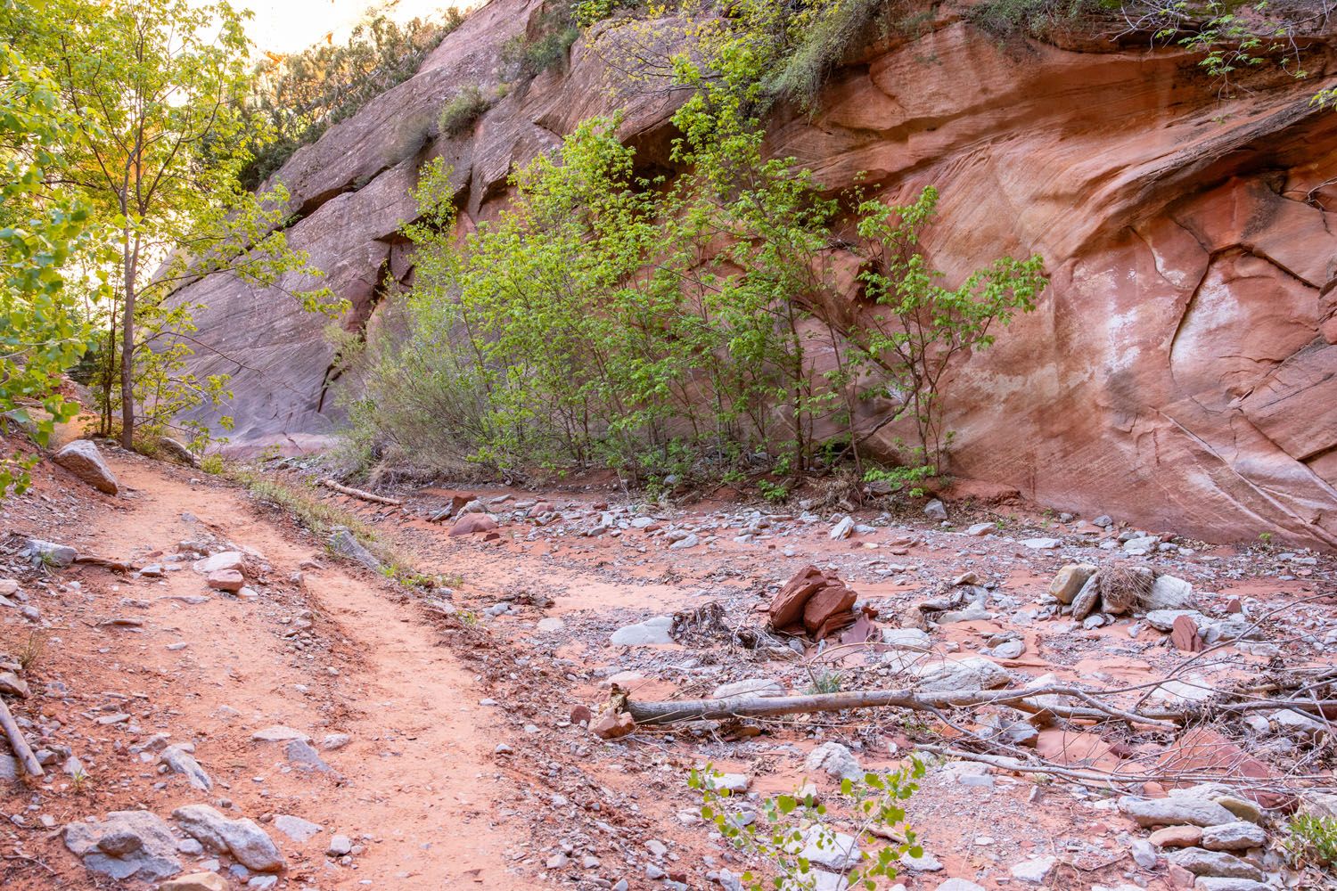 Taylor Creek Trail Kolob