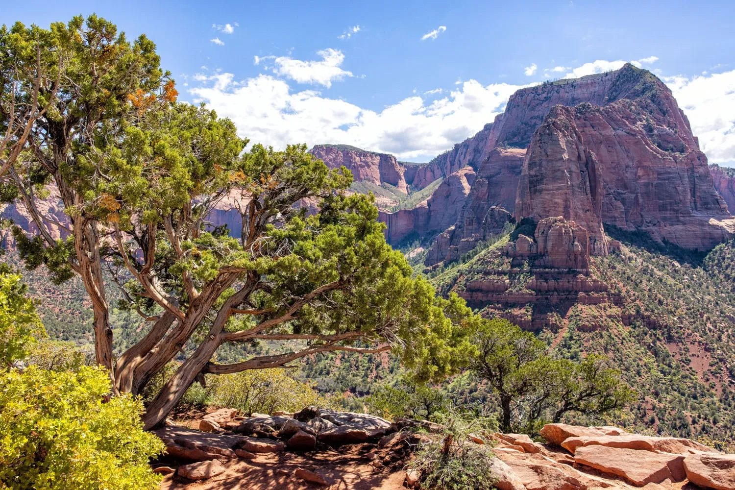Timber Creek Overlook Trail