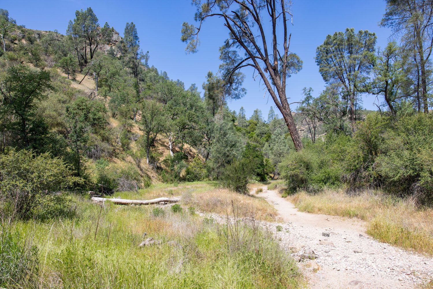 Trail to Balconies Cave