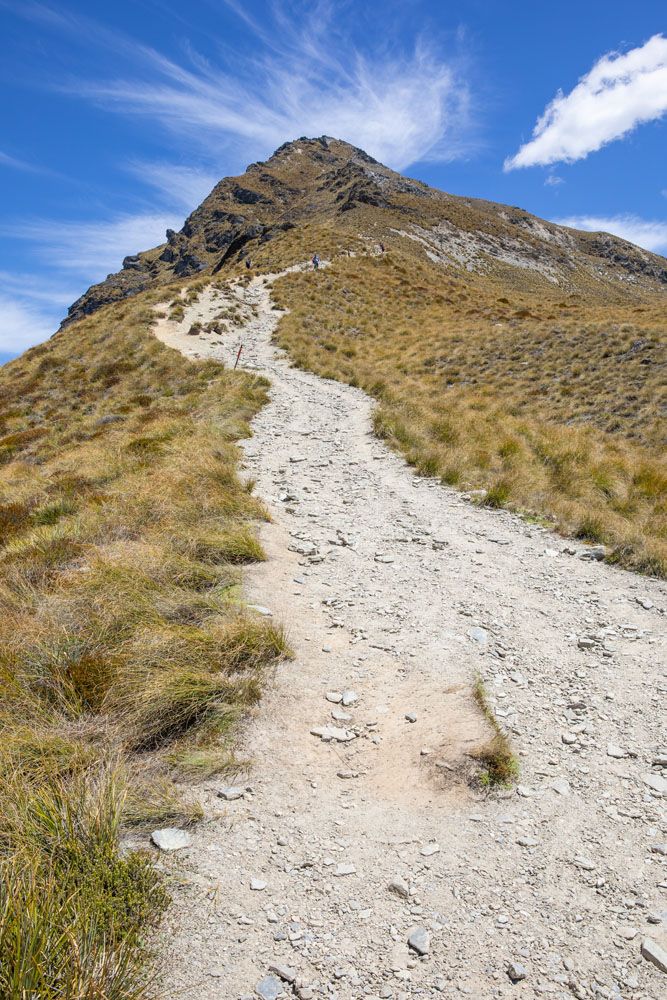 Trail to the Summit