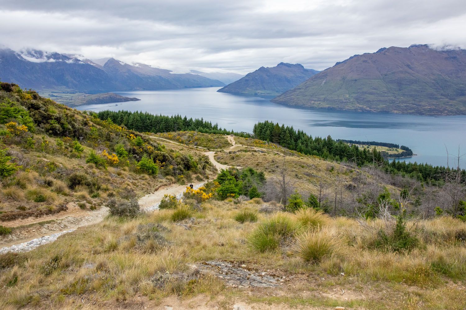 View from Queenstown Hill