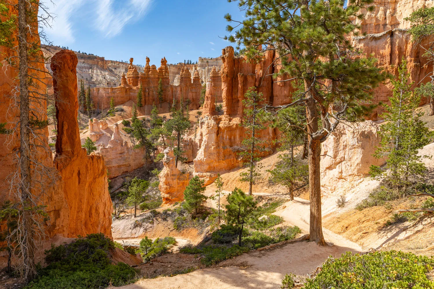 Bryce Canyon Peekaboo Loop