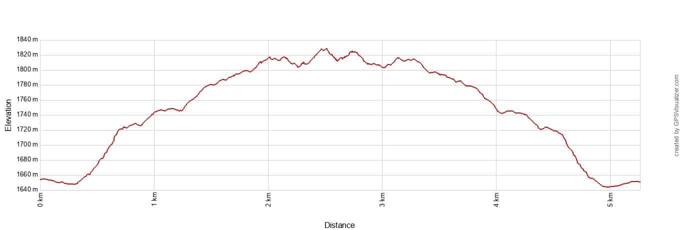 Cassidy Arch Elevation Profile Metric