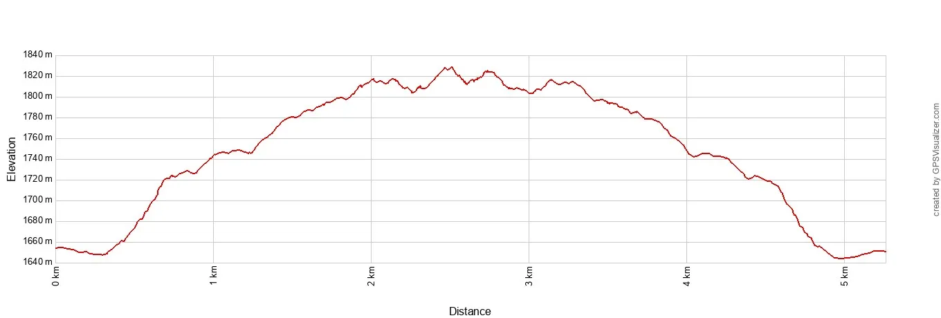 Cassidy Arch Elevation Profile Metric