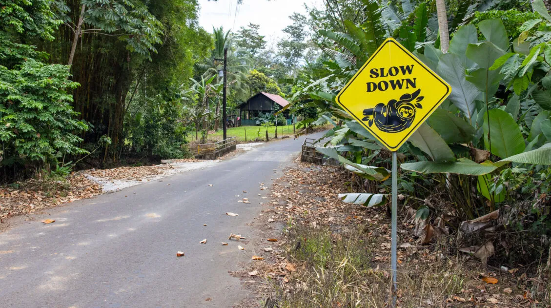 Costa Rica Travel Tips Guide