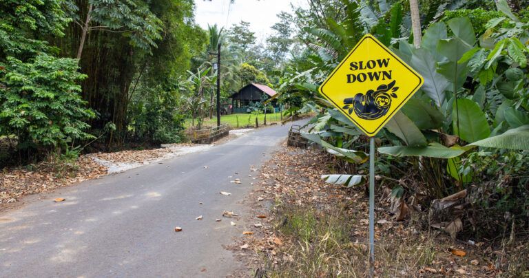 Costa Rica Travel Tips Guide