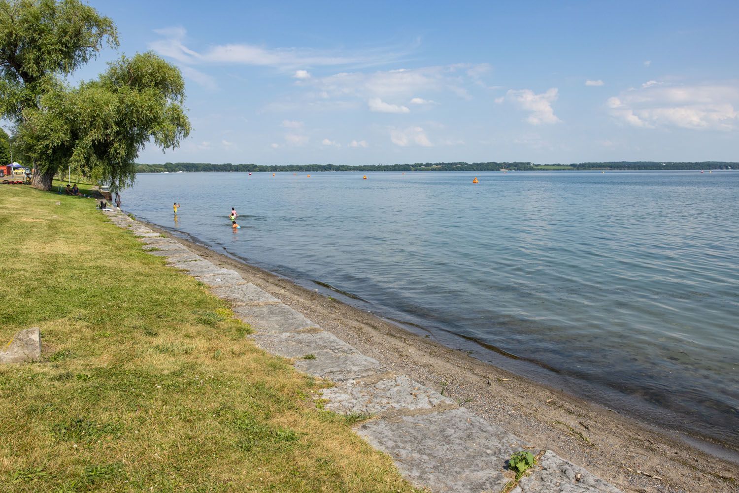 Ironman Musselman Swim Course