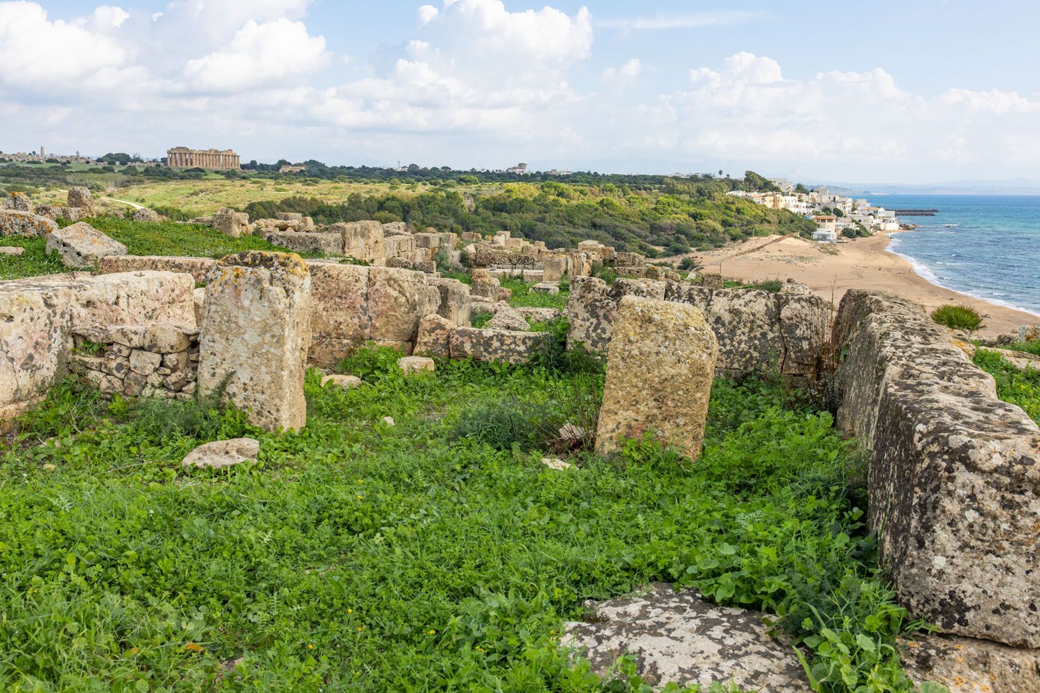 Selinunte Coast View