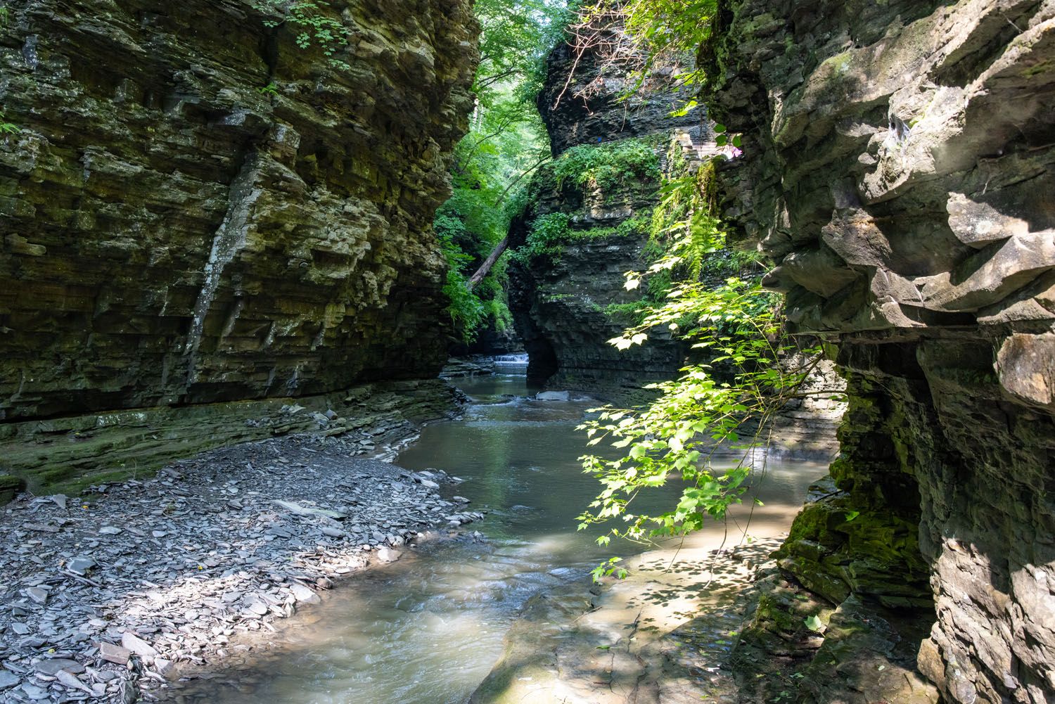 Watkins Glen Gorge Trail Photo