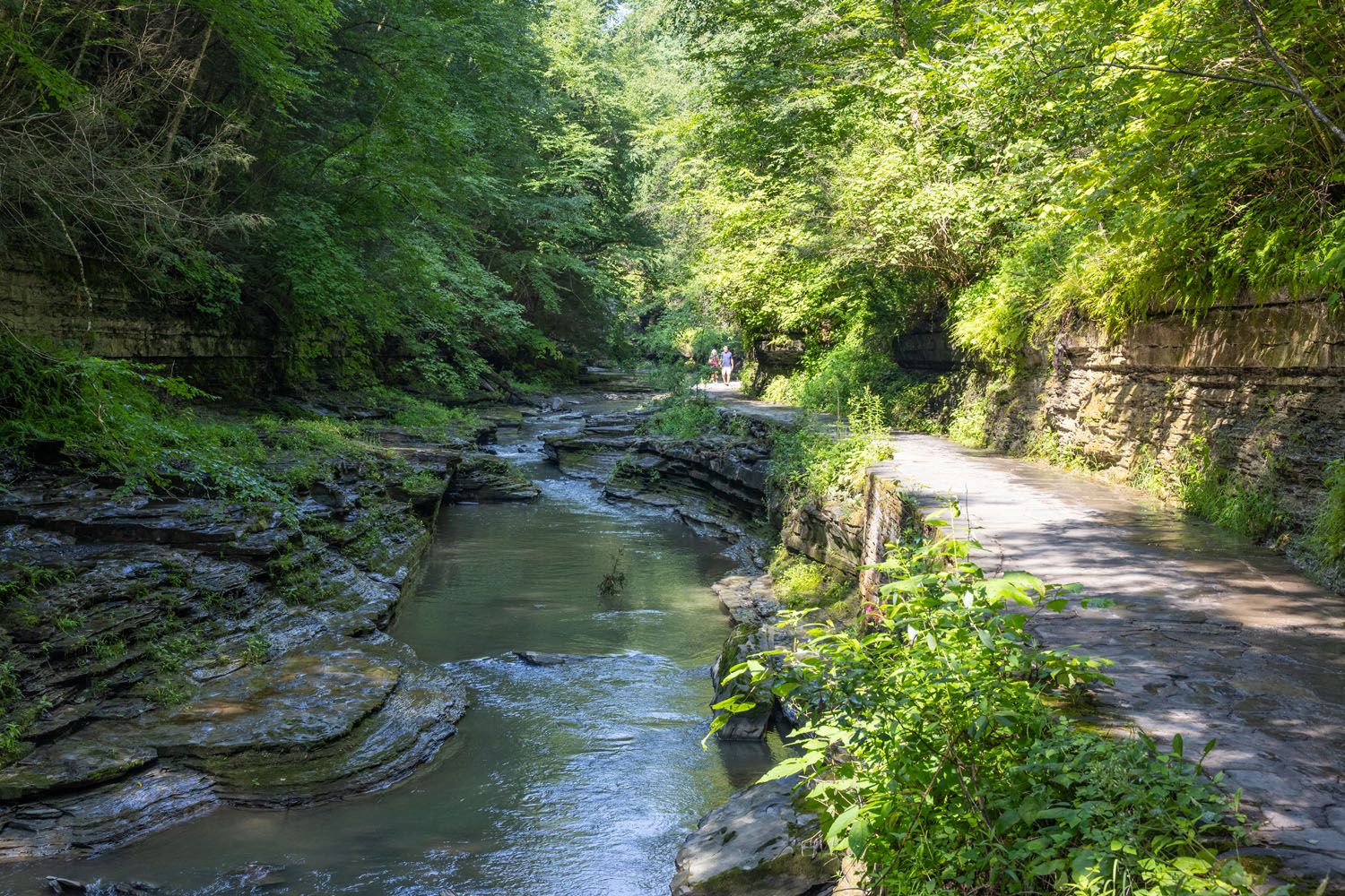Watkins Glen State Park