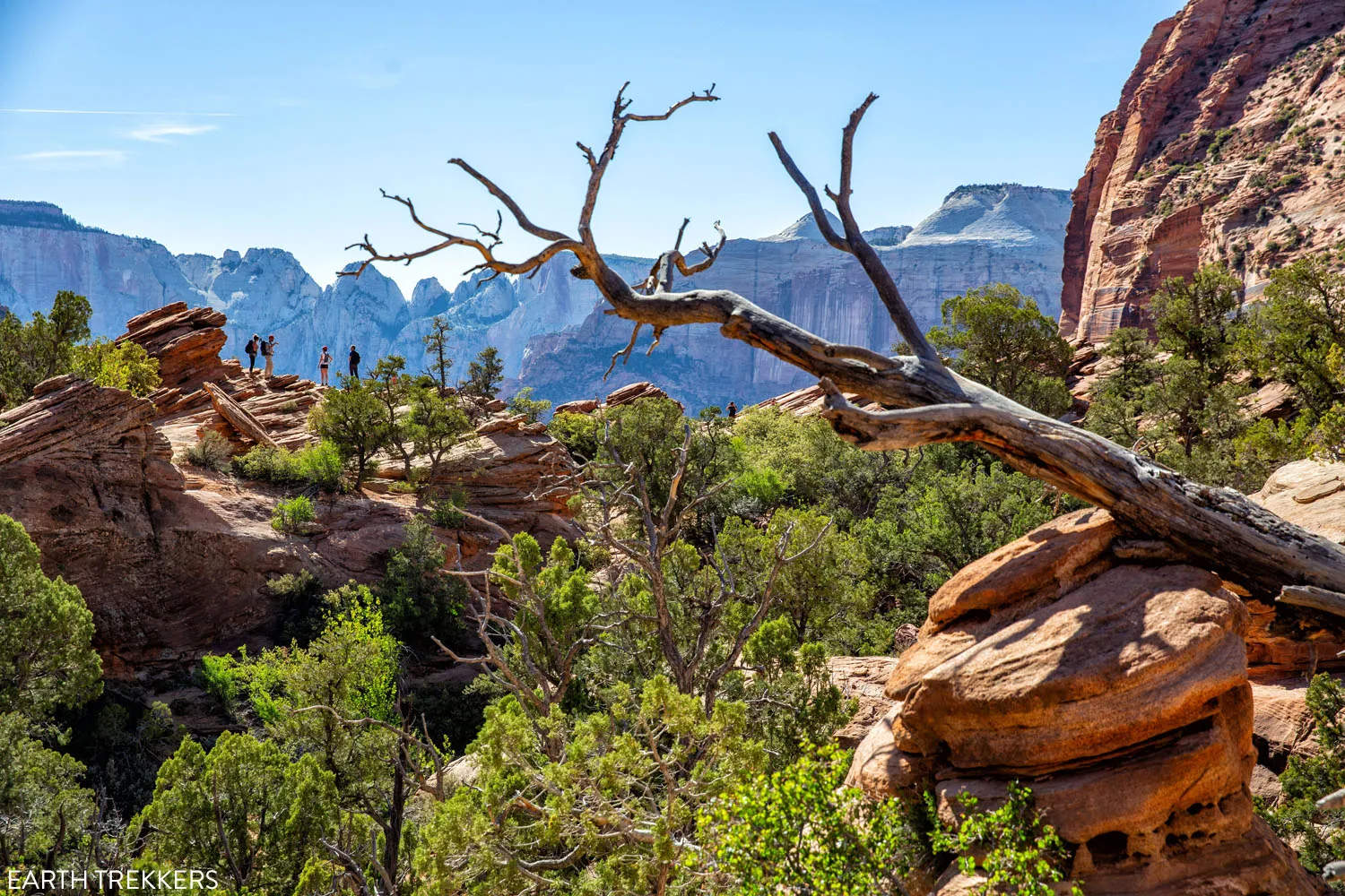 Canyon Overlook Zion National Park