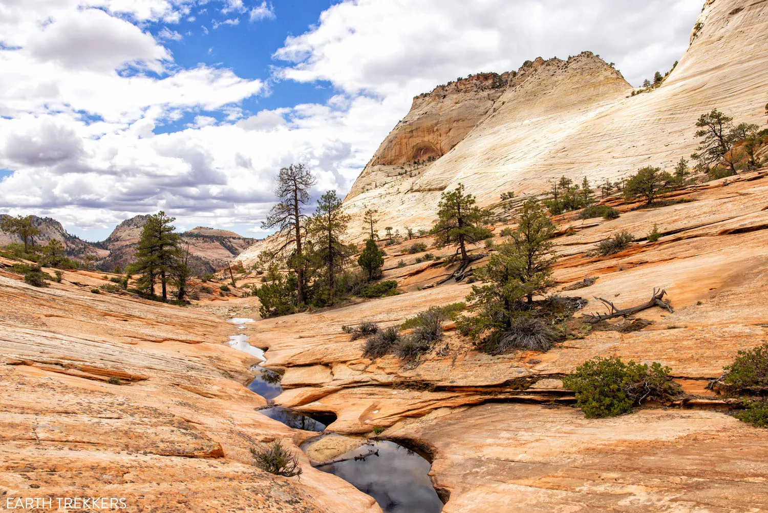 Many Pools Trail Zion