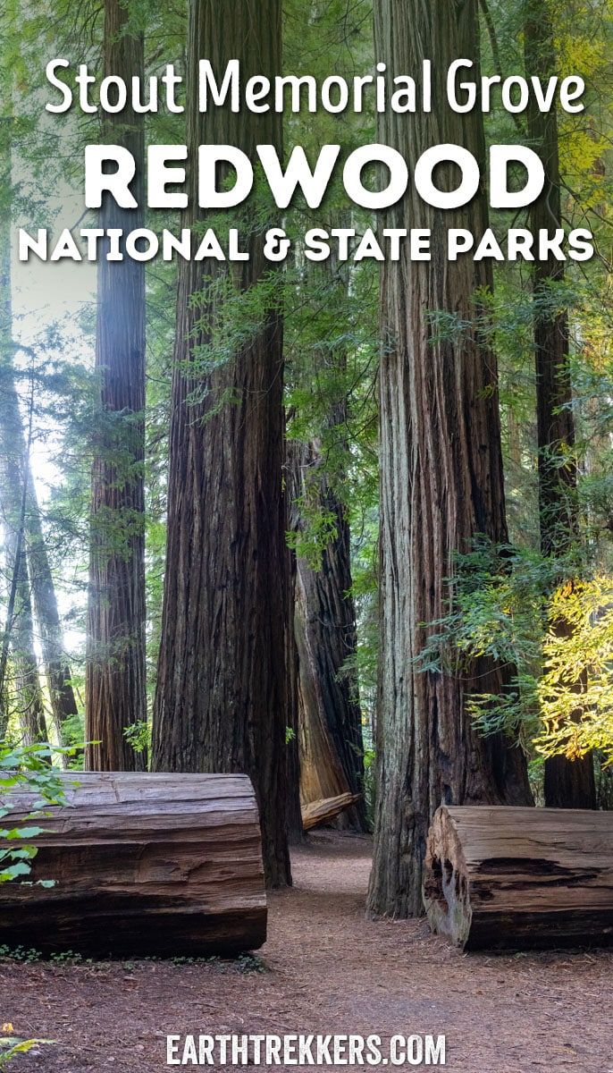 How to hike the Stout Memorial Grove Trail, Jedediah Smith Redwoods State Park, California.