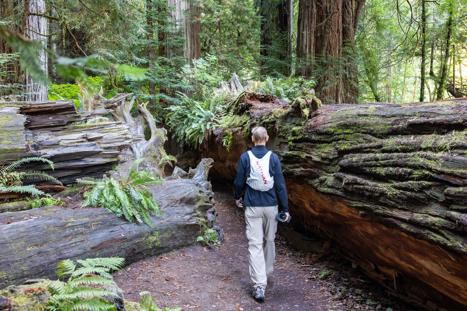 Stout Trail California