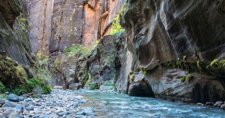 Zion Narrows Photo