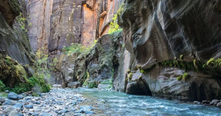 Zion Narrows Photo