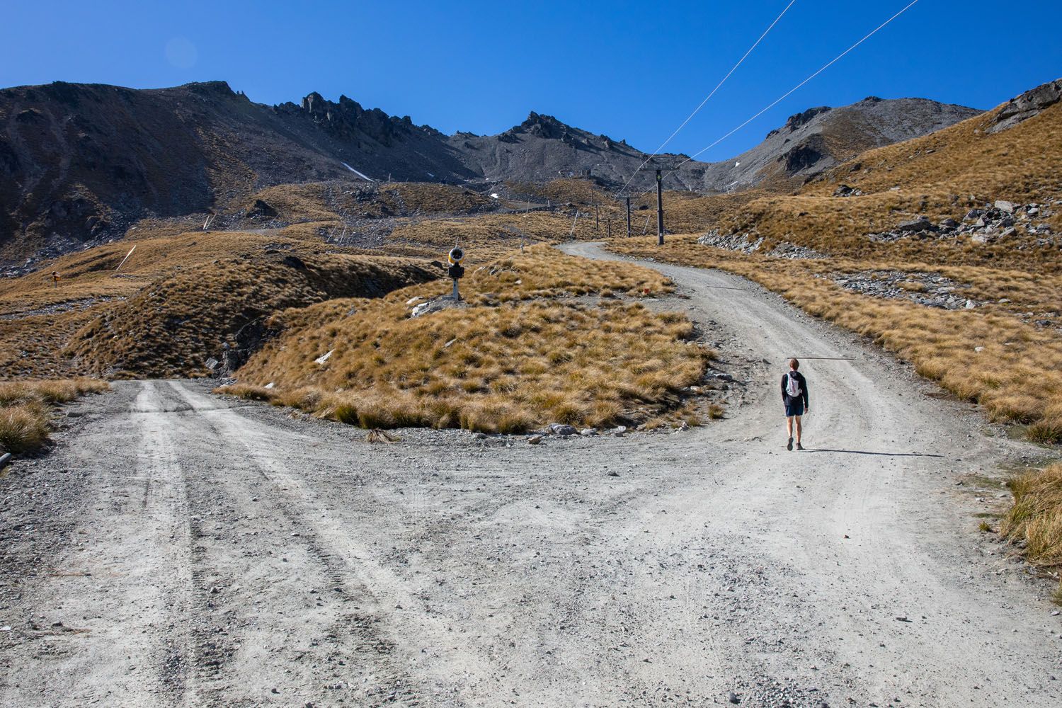 Lake Alta Trail Split