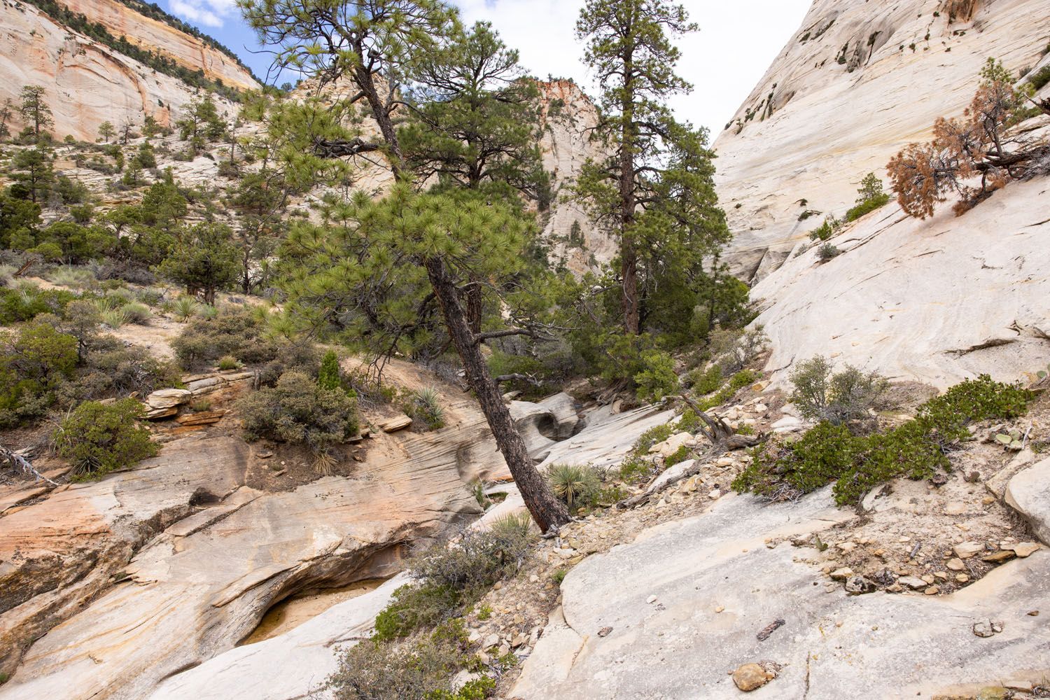 Many Pools Trail End