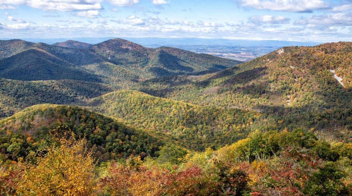 Shenandoah National Park Photo