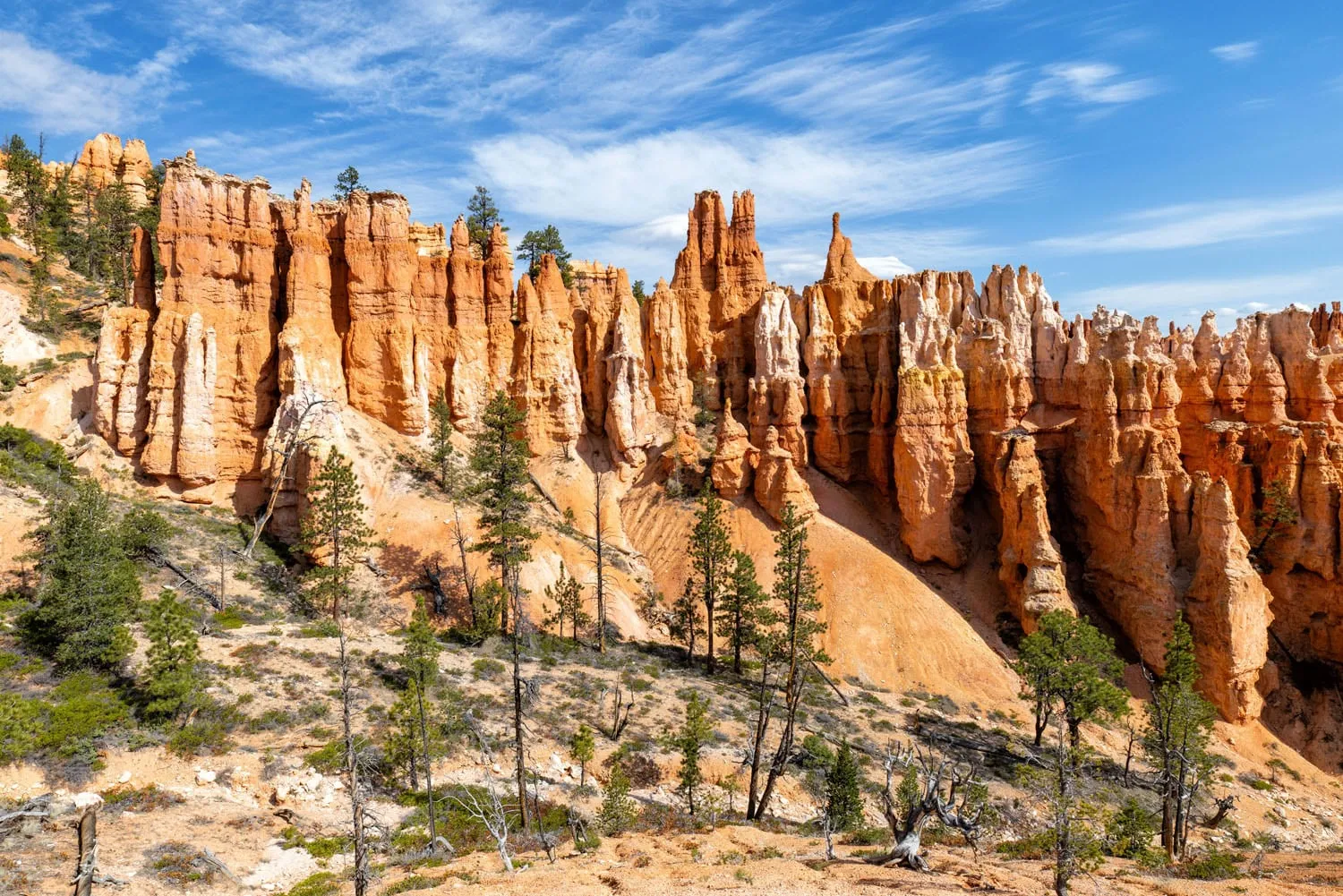 Bryce Canyon Hoodoos