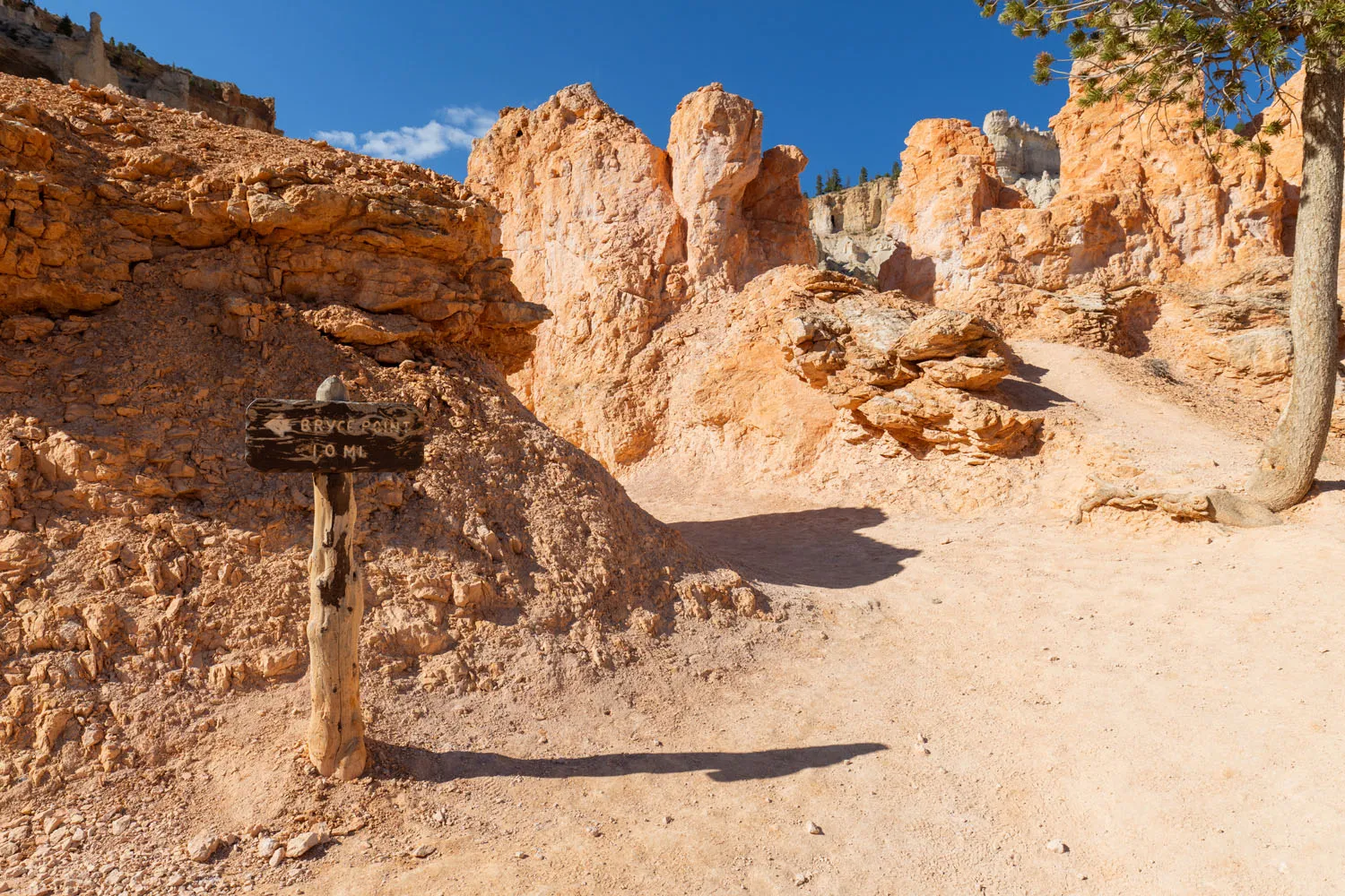 Detour to Bryce Point
