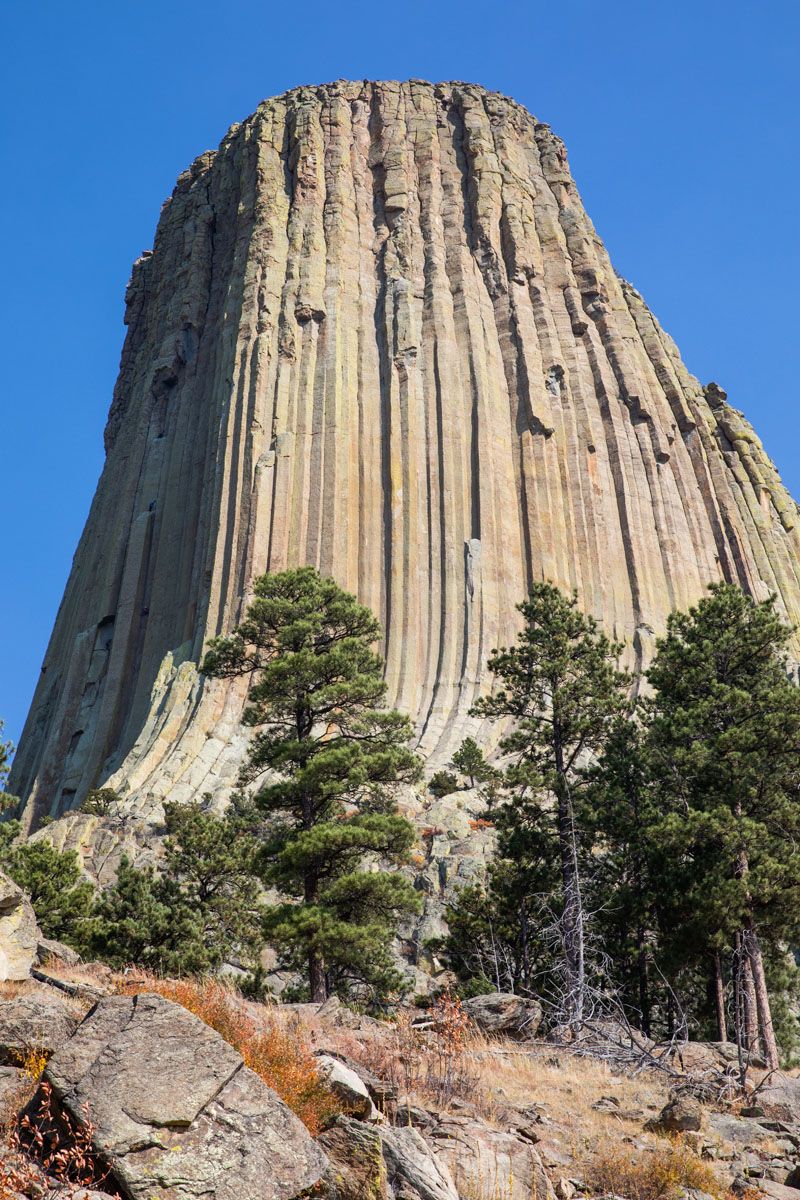 Devils Tower Photo