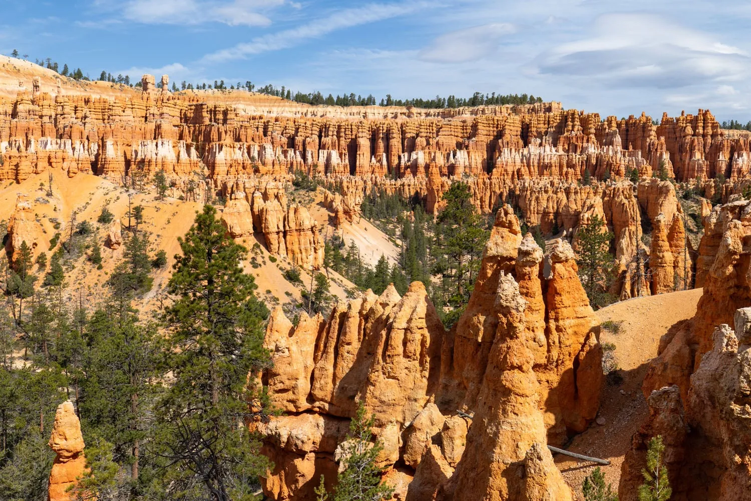Figure 8 Trail Bryce Canyon