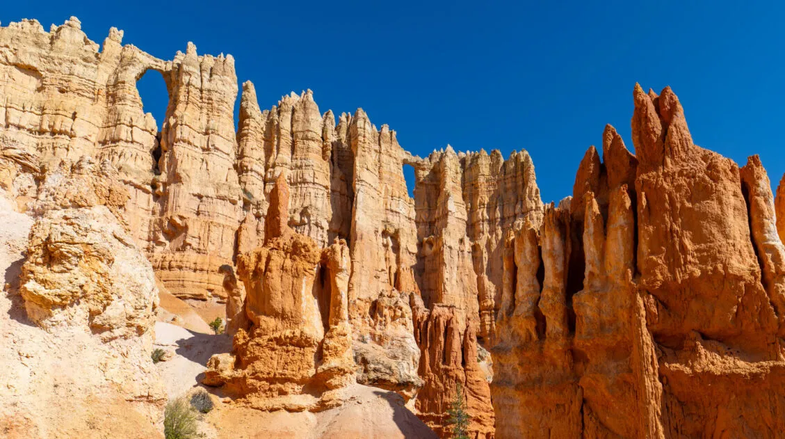 Figure 8 Trail Guide Bryce Canyon