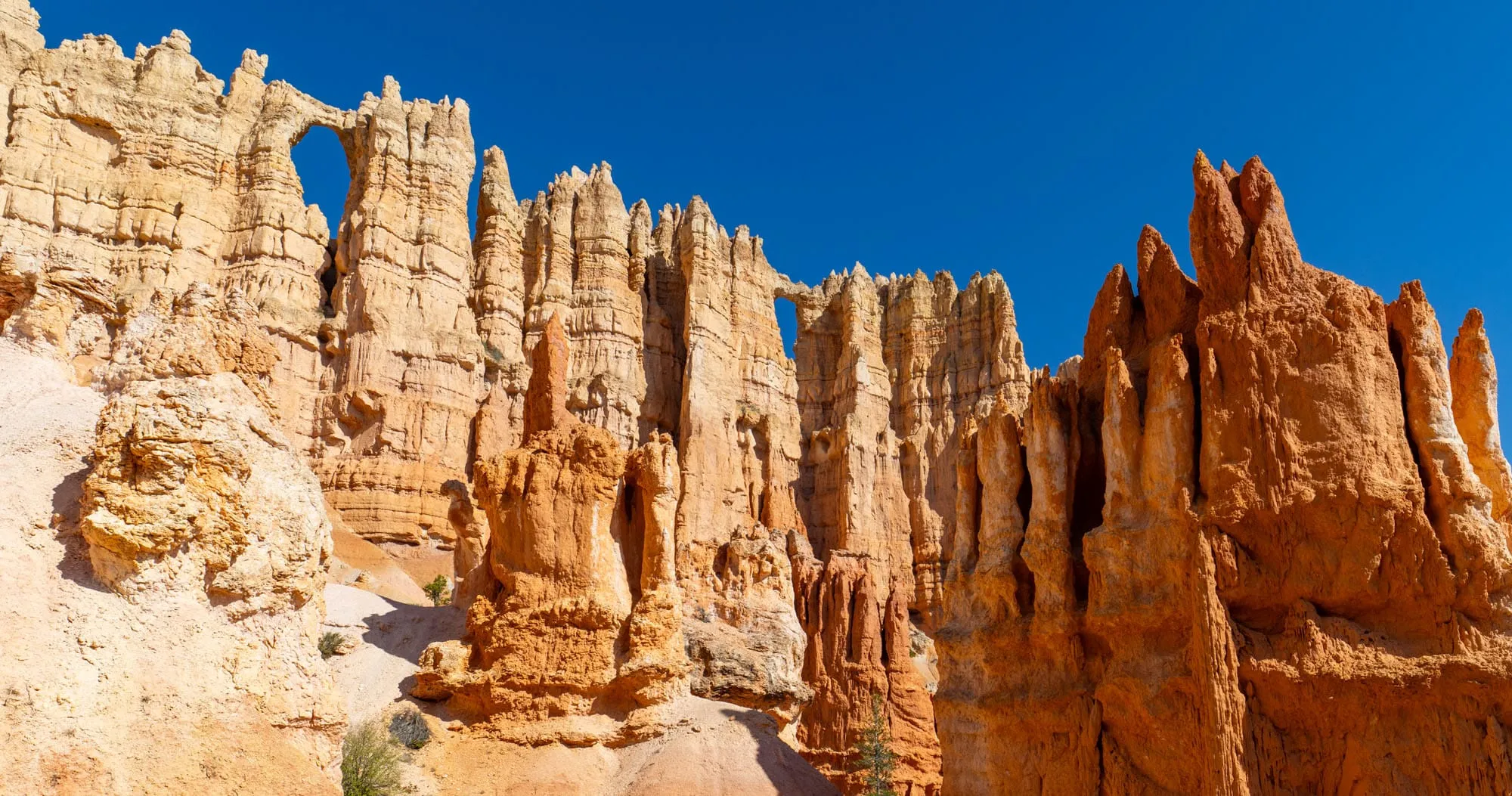 Figure 8 Trail Guide Bryce Canyon