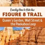 The Figure 8 Trail is a moderate to strenuous 6.1-mile (9.8 km) hike in Bryce Canyon that includes 3 iconic trails: Peekaboo Trail, Queen’s Garden, and the Navajo Trail.