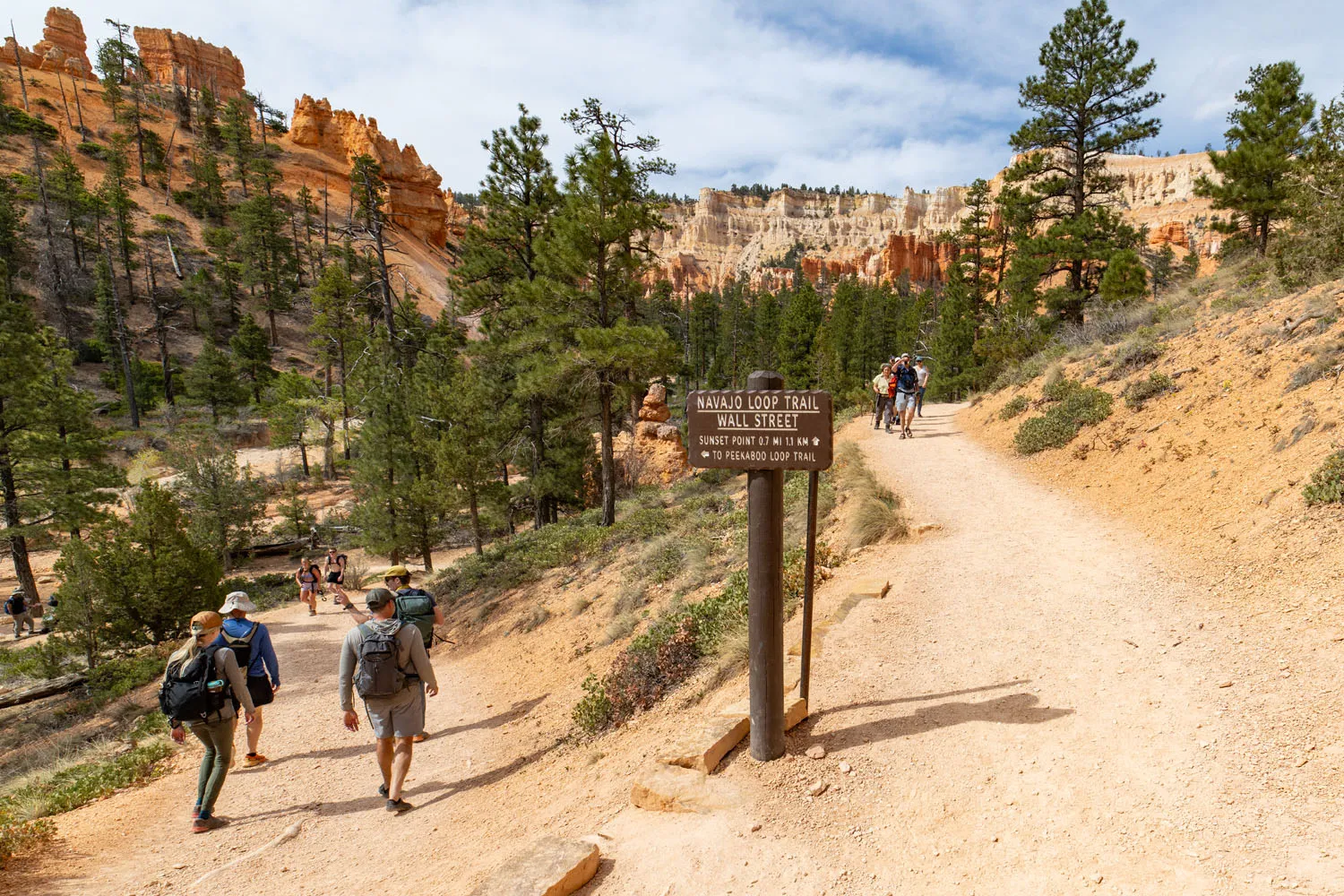 Figure 8 Trail Split