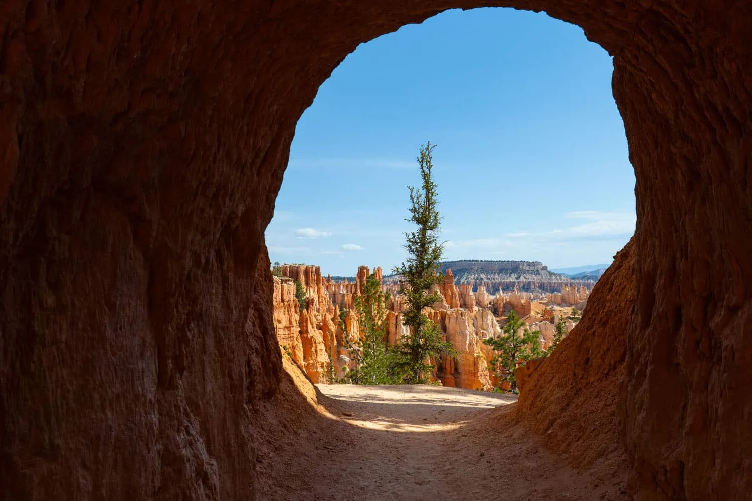 Figure 8 Trail Tunnel View