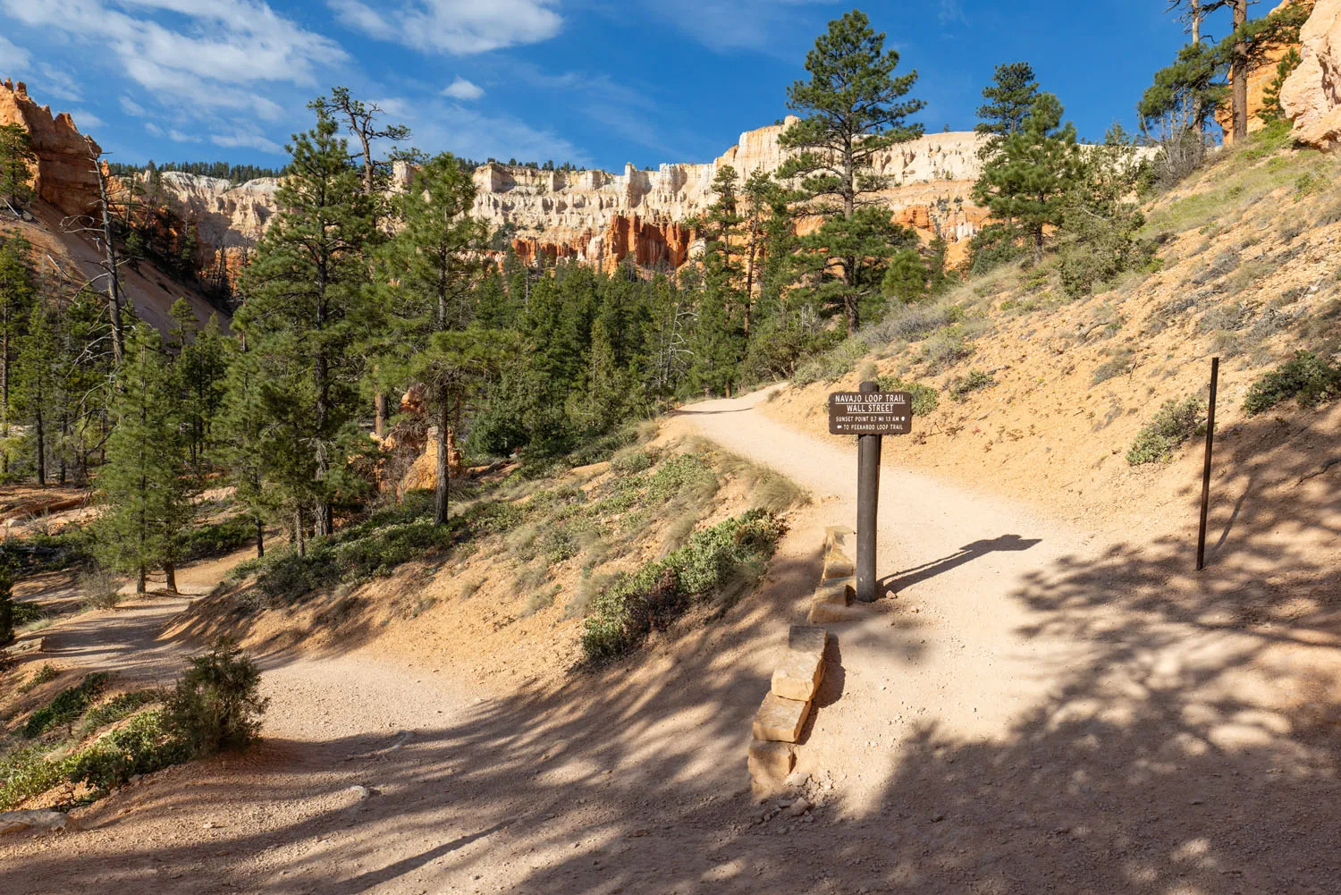 Peekaboo Trail Split