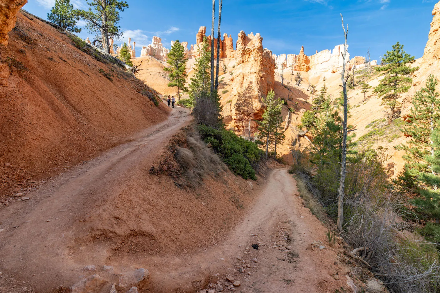 Peekaboo Trail Start