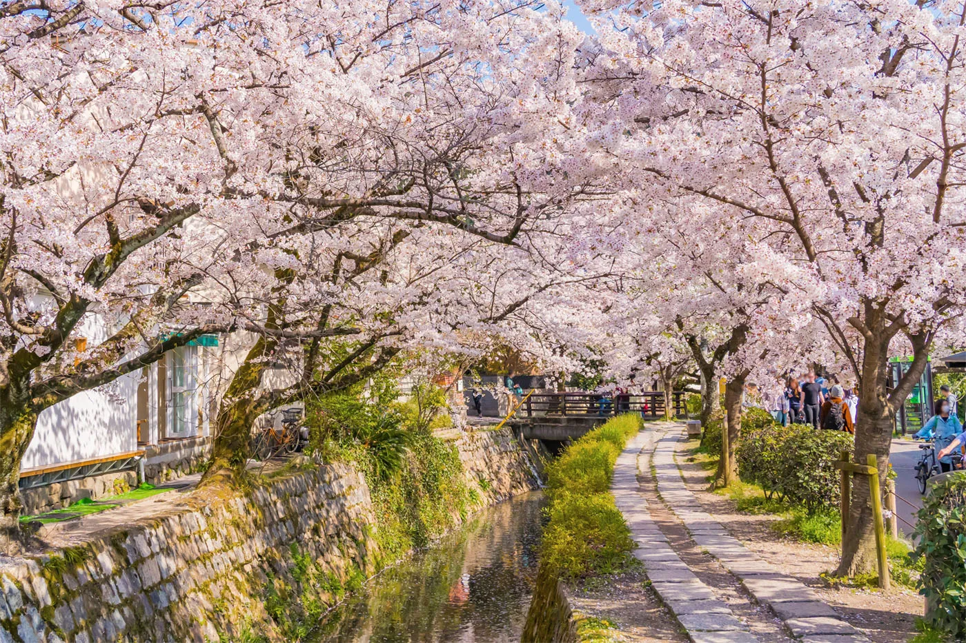 Philosophers Path Kyoto