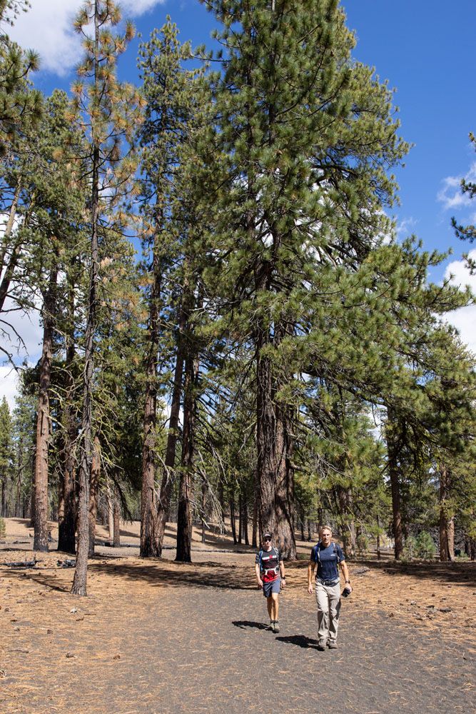 Tim Tyler Cinder Cone Trail