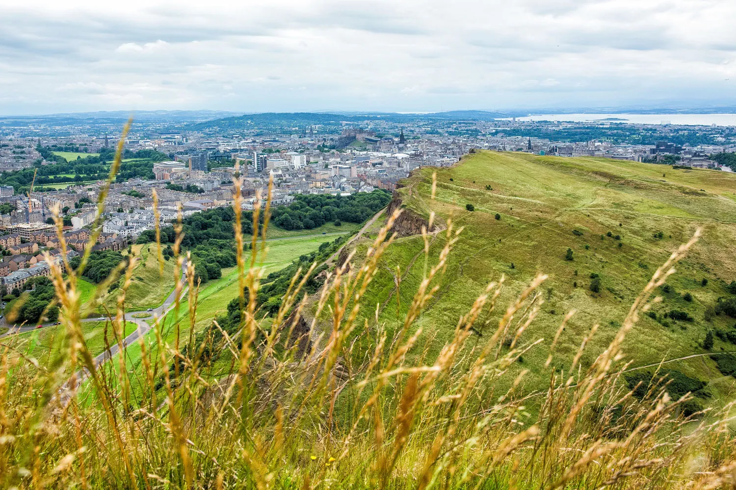 Arthurs Seat Grass