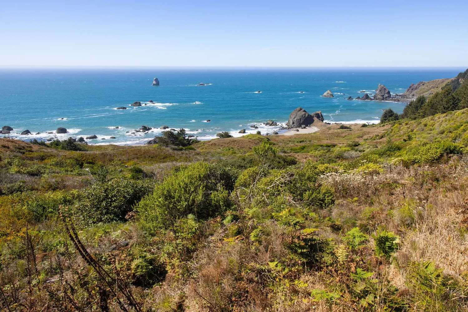 Cape Ferrelo Samuel H. Boardman State Scenic Corridor Oregon Coast