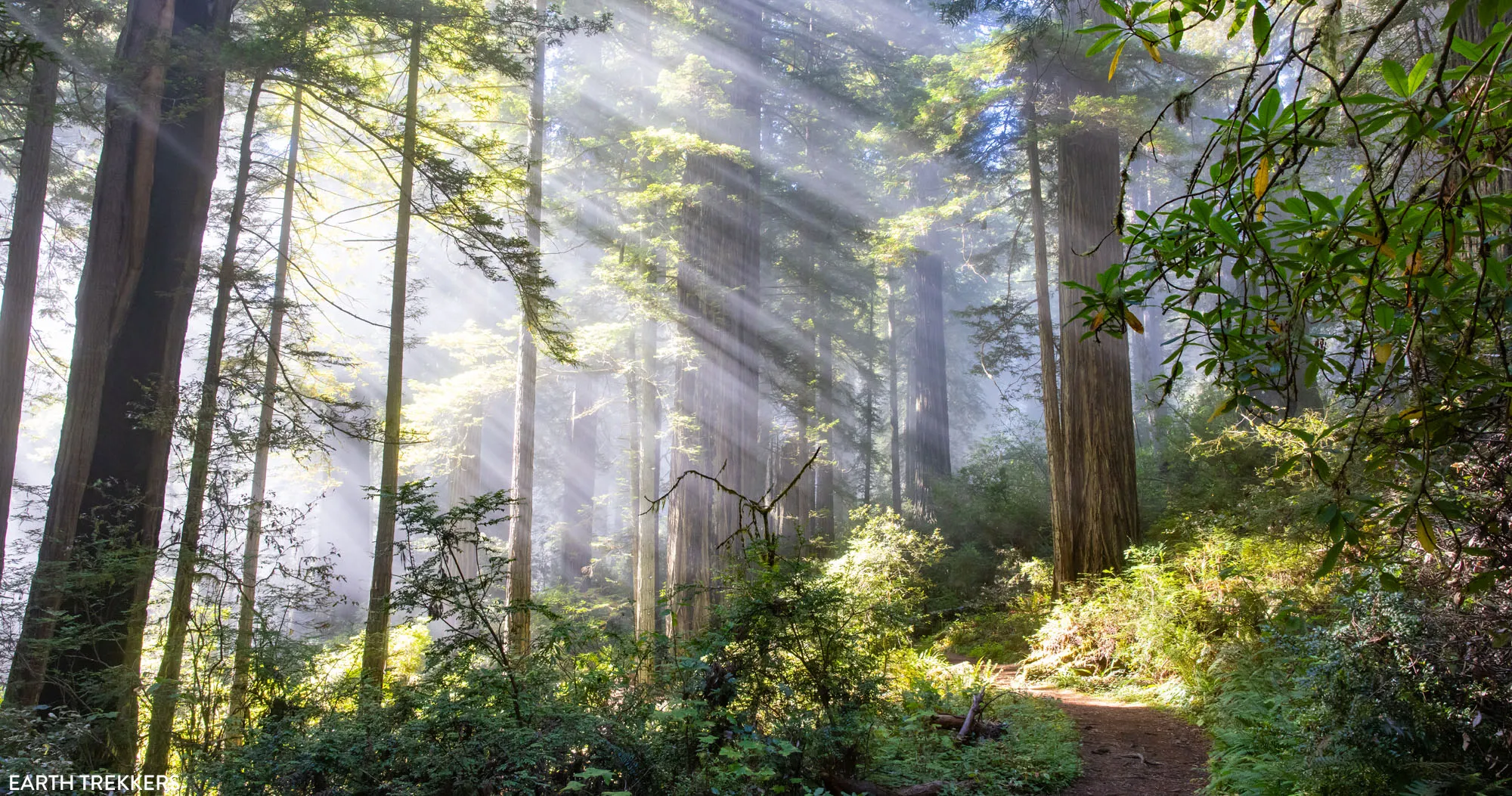 Damnation Creek Trail Photo