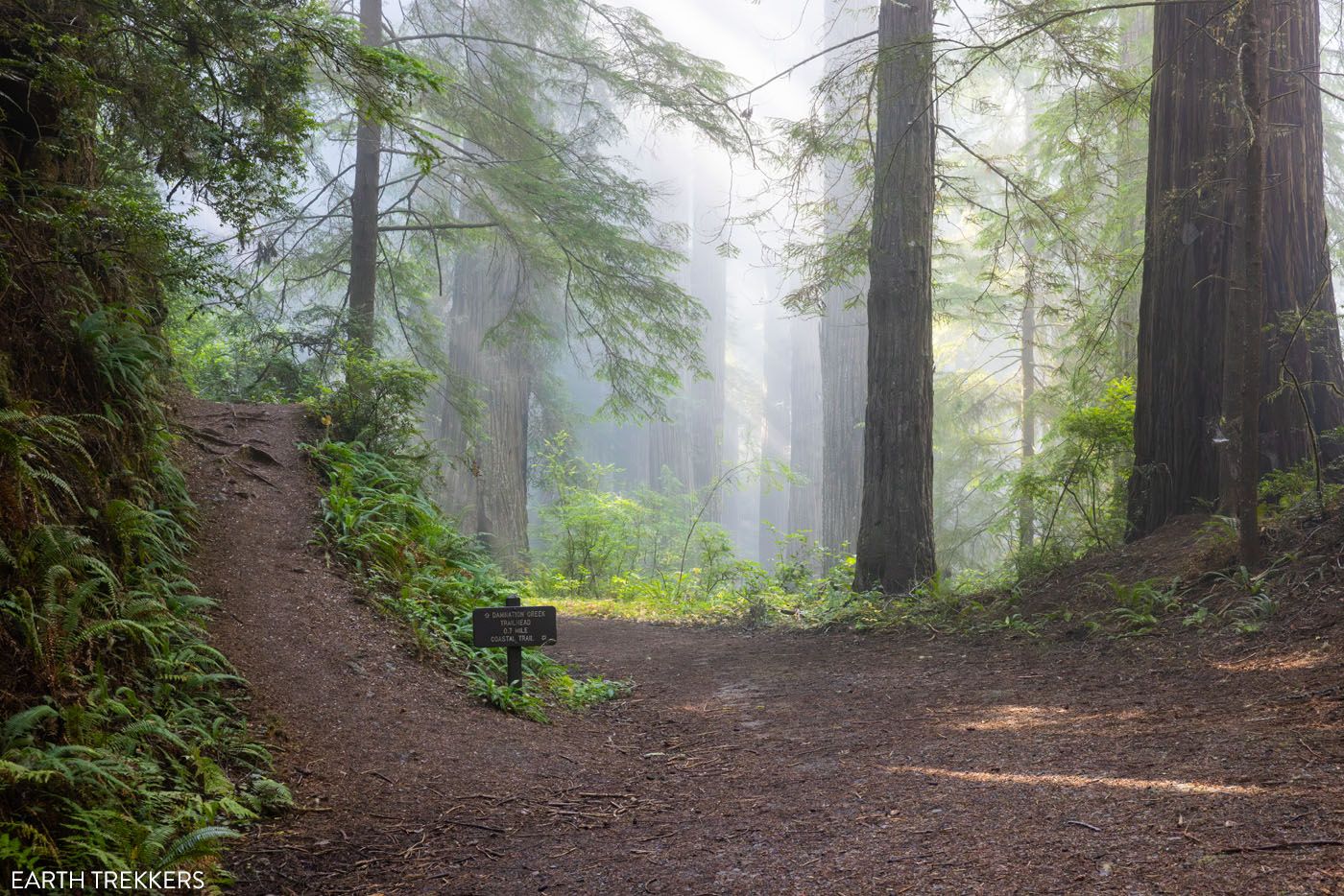 Damnation Creek Trail and Coast Trail intersection