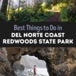 Things to do in Del Norte Coast Redwoods State Park, California: best hikes, best viewpoints, and one day itinerary.