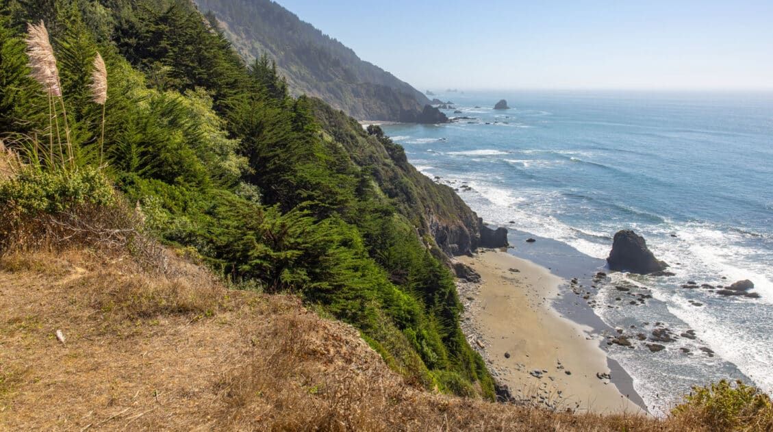 Del Norte Coast Redwoods Photo