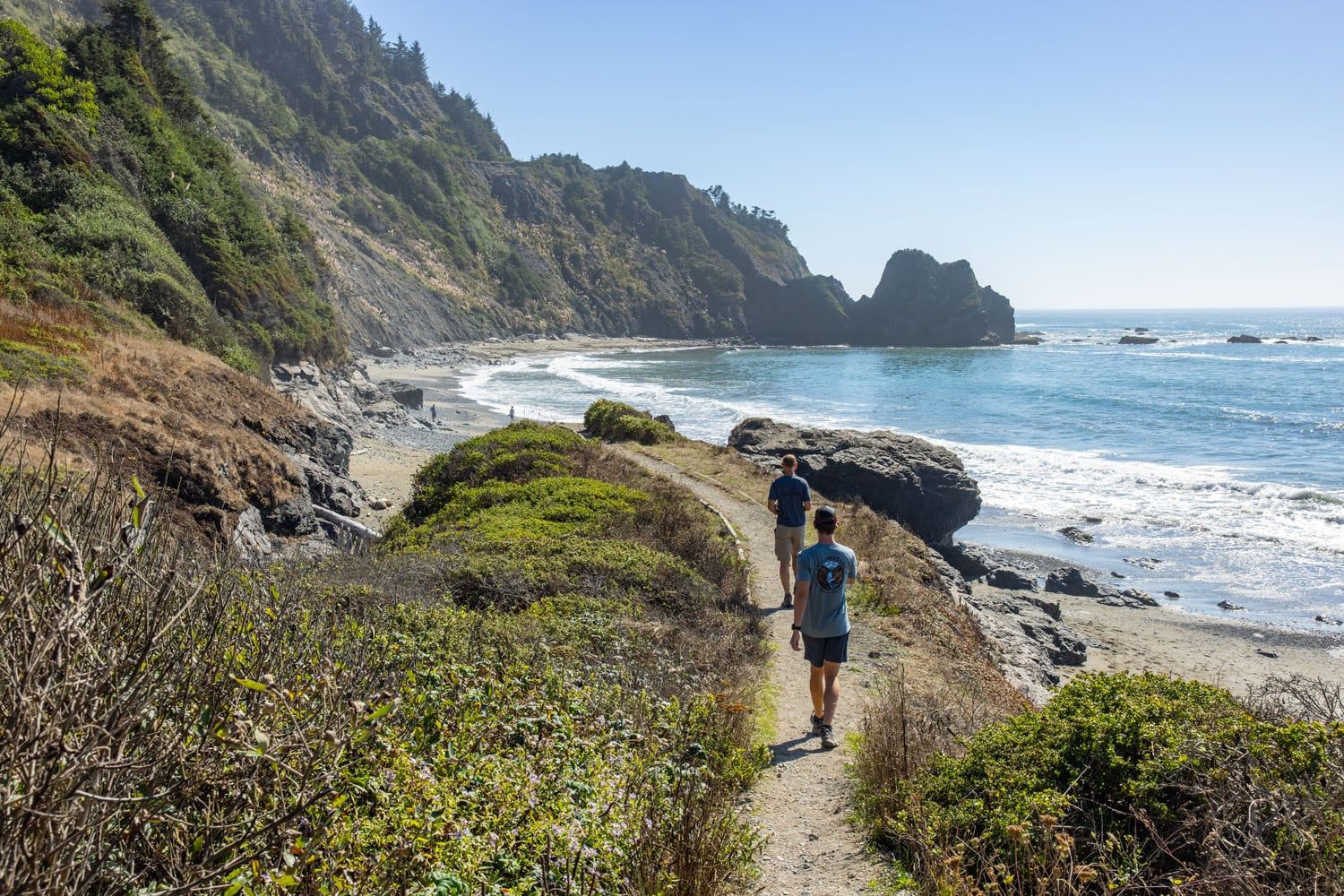 Endert Beach Trail Photo Del Norte Coast Redwoods