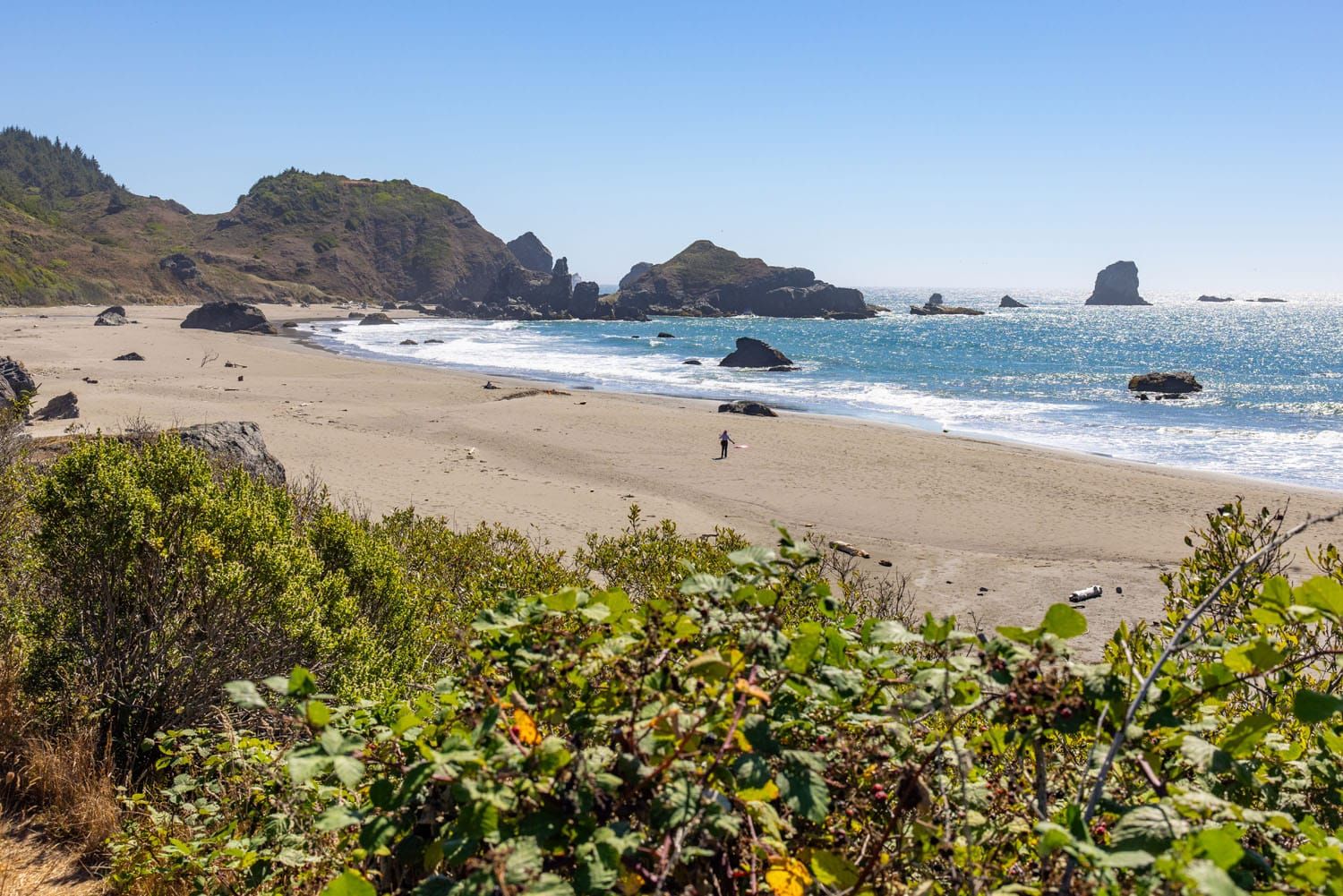 Lone Ranch Beach Oregon Coast