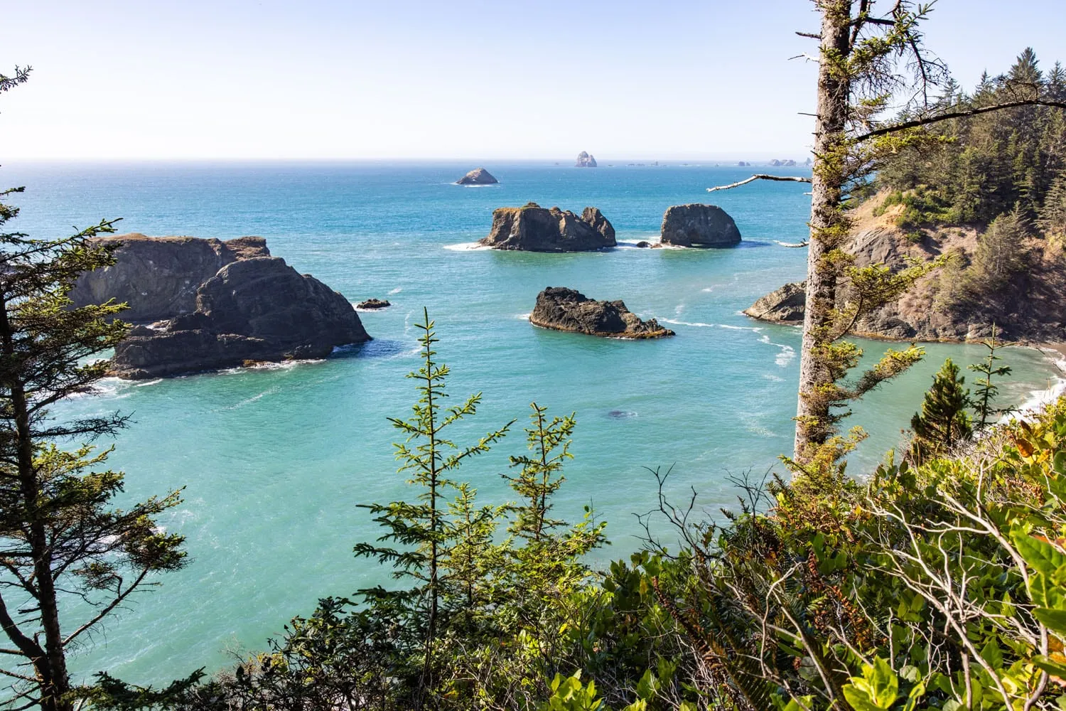 Spruce Island Viewpoint