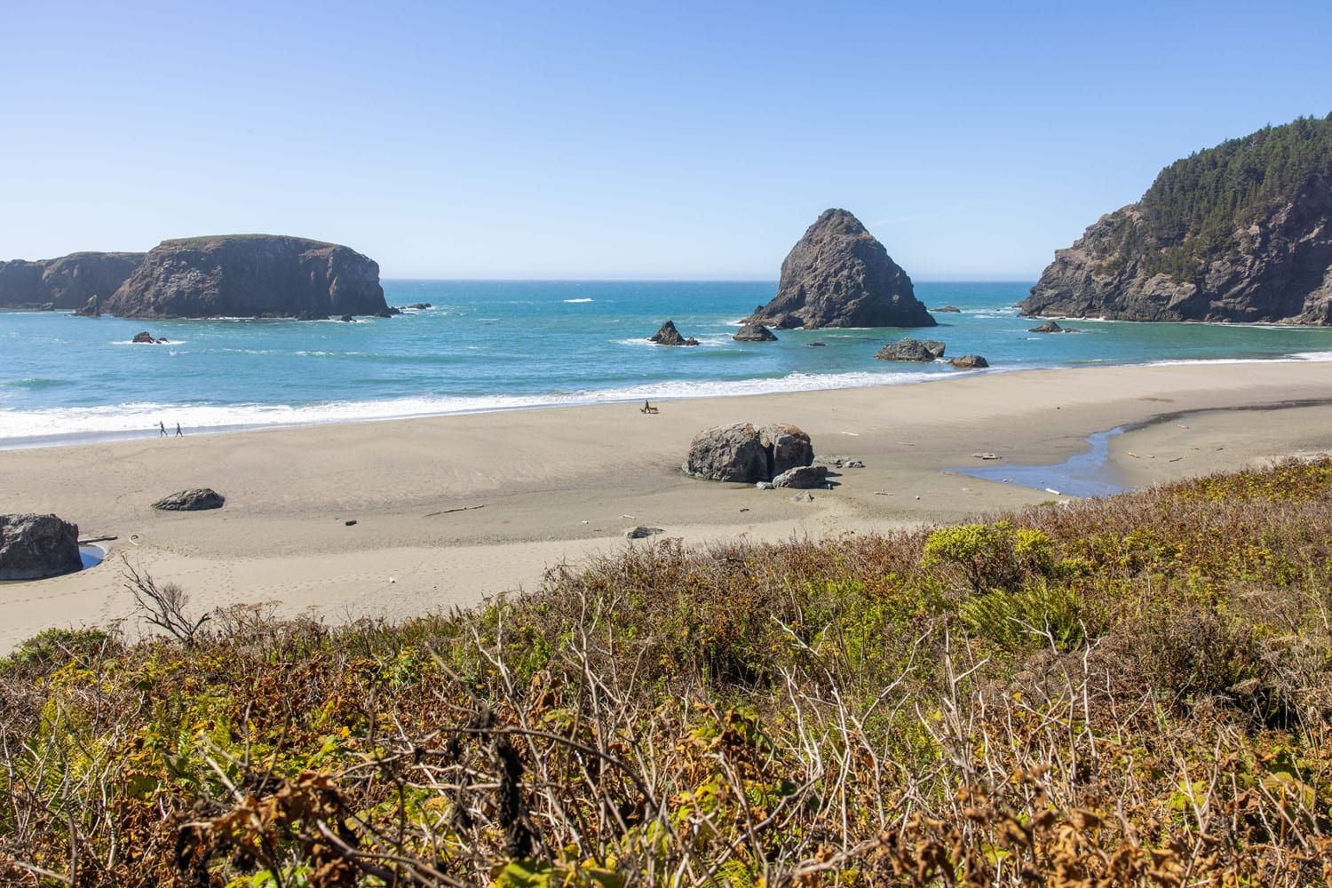 Whaleshead Beach Oregon