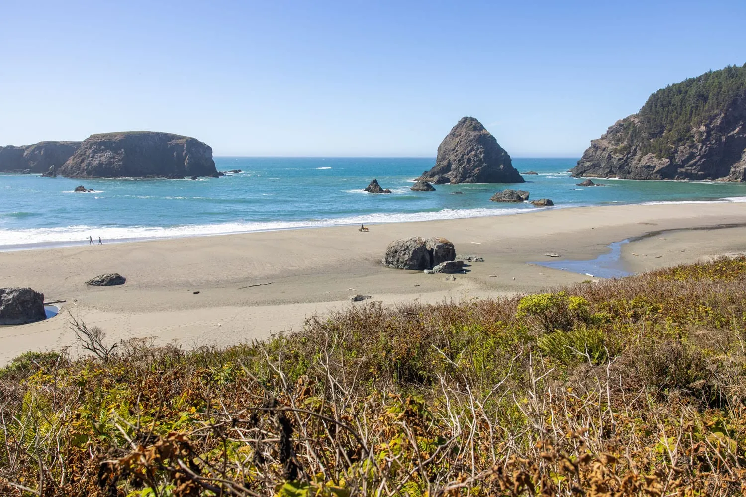Whaleshead Beach Oregon